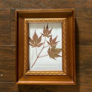 Dried, pressed floral wall art. Fall leaves in wood frame.